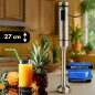 Blender ręczny ProfiCook PC-SM 1317 Outlet