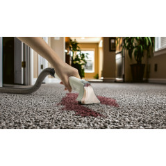 Przenośny odkurzacz piorący Spot Cleaner ProfiCare PC-PTR 3153