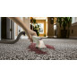 Przenośny odkurzacz piorący Spot Cleaner ProfiCare PC-PTR 3153 Przenośny odkurzacz piorący Spot Cleaner ProfiCare PC-PTR 3153