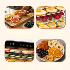 Dehydrator, suszarka do żywności ProfiCook PC-DR 1218